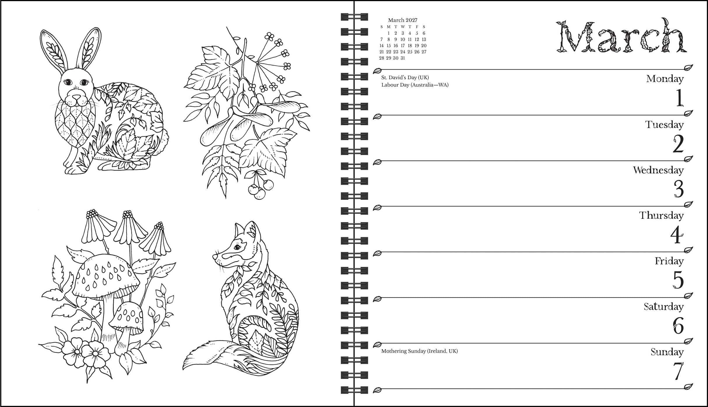 Johanna Basford 2027 Weekly Coloring Calendar