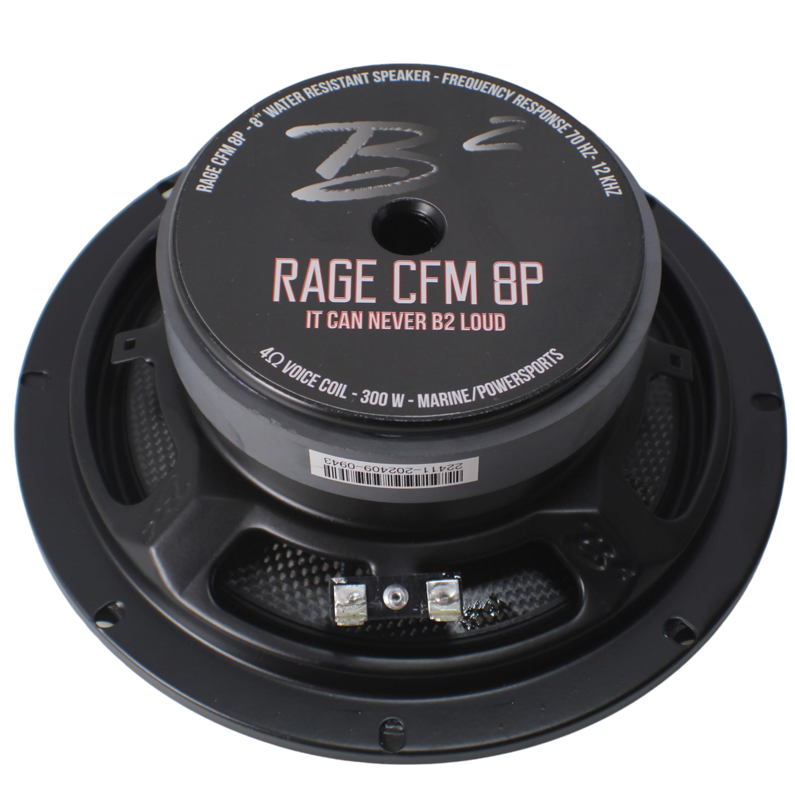 Amazon.com: B2 Audio Pair of 8