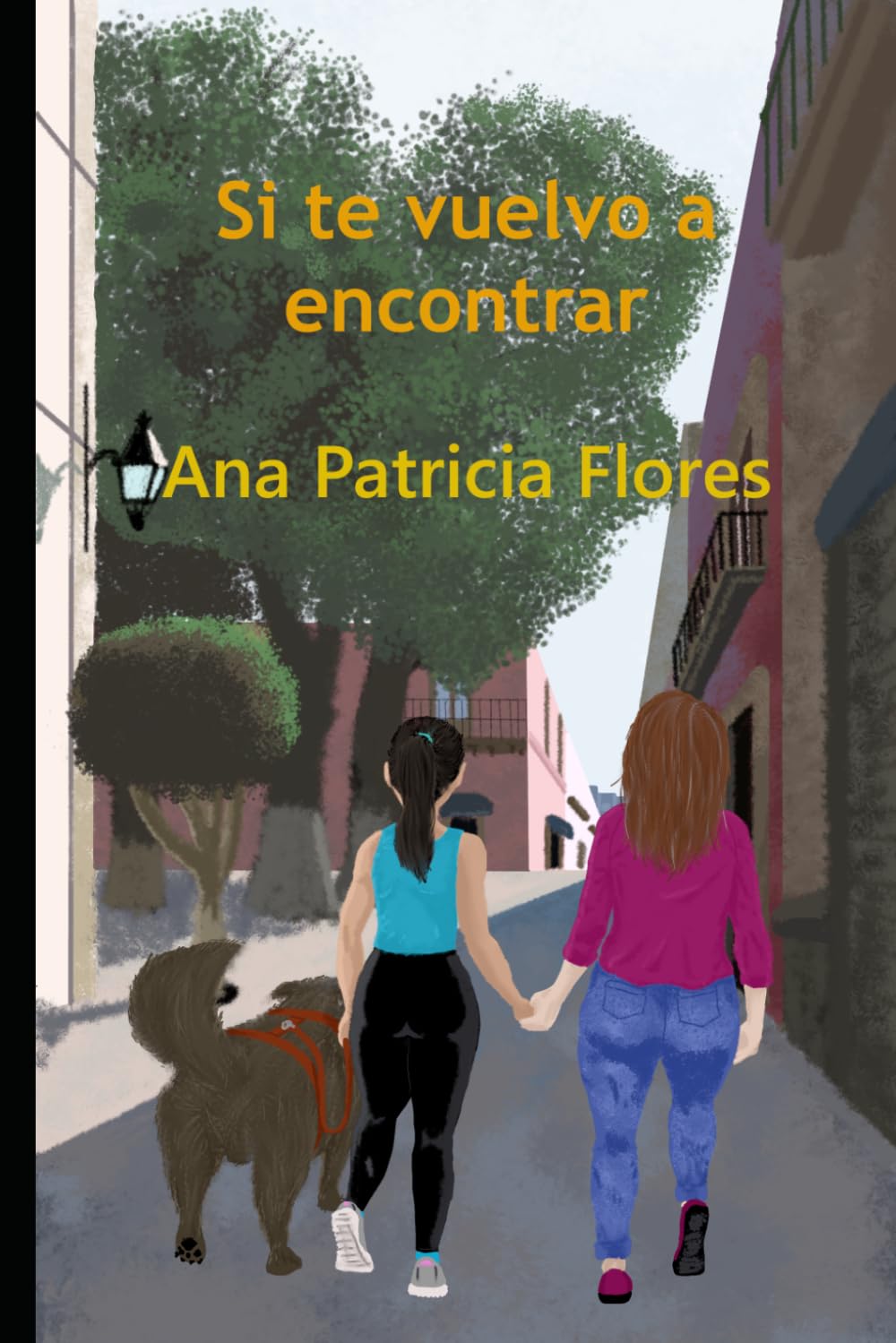 Si te vuelvo a encontrar: Novela
