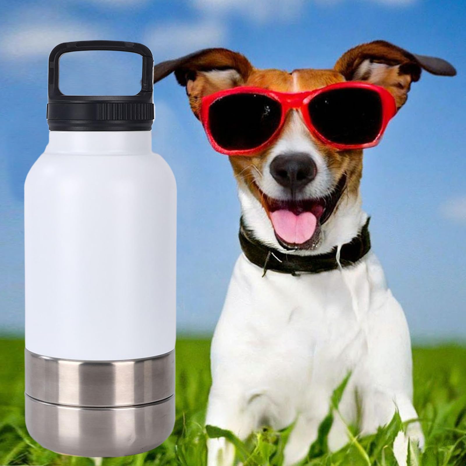 Borraccia Acqua Portatile Animali 1520 ml Contenitore D'Acqua Per Animali | Borraccia Sottovuoto Cuccioli Da Outdoor Campeggio Escursionismo Picnic Passeggiate Viaggio Appartamento Dormi