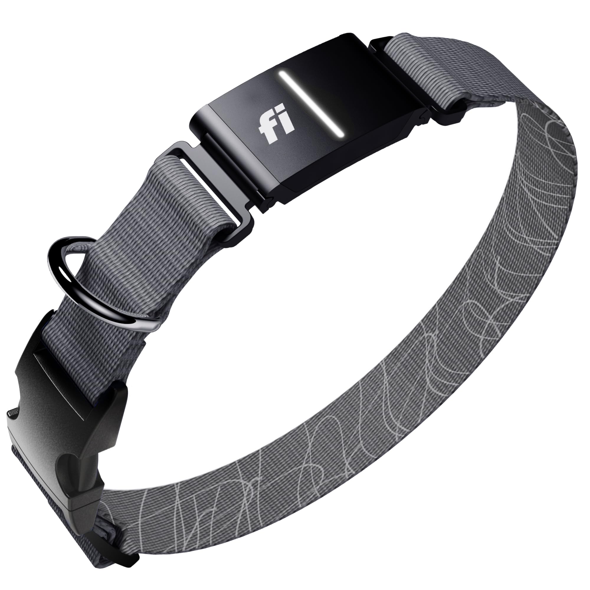 Fi Series 3+ GPS Dog Collar
