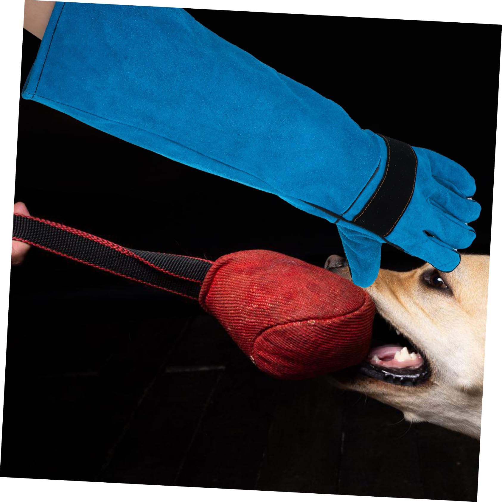 SUPVOX En Cuir Pour Chat Et Chien Taille Universelle Confortables Et Propres Pour La Manipulation Des Animaux