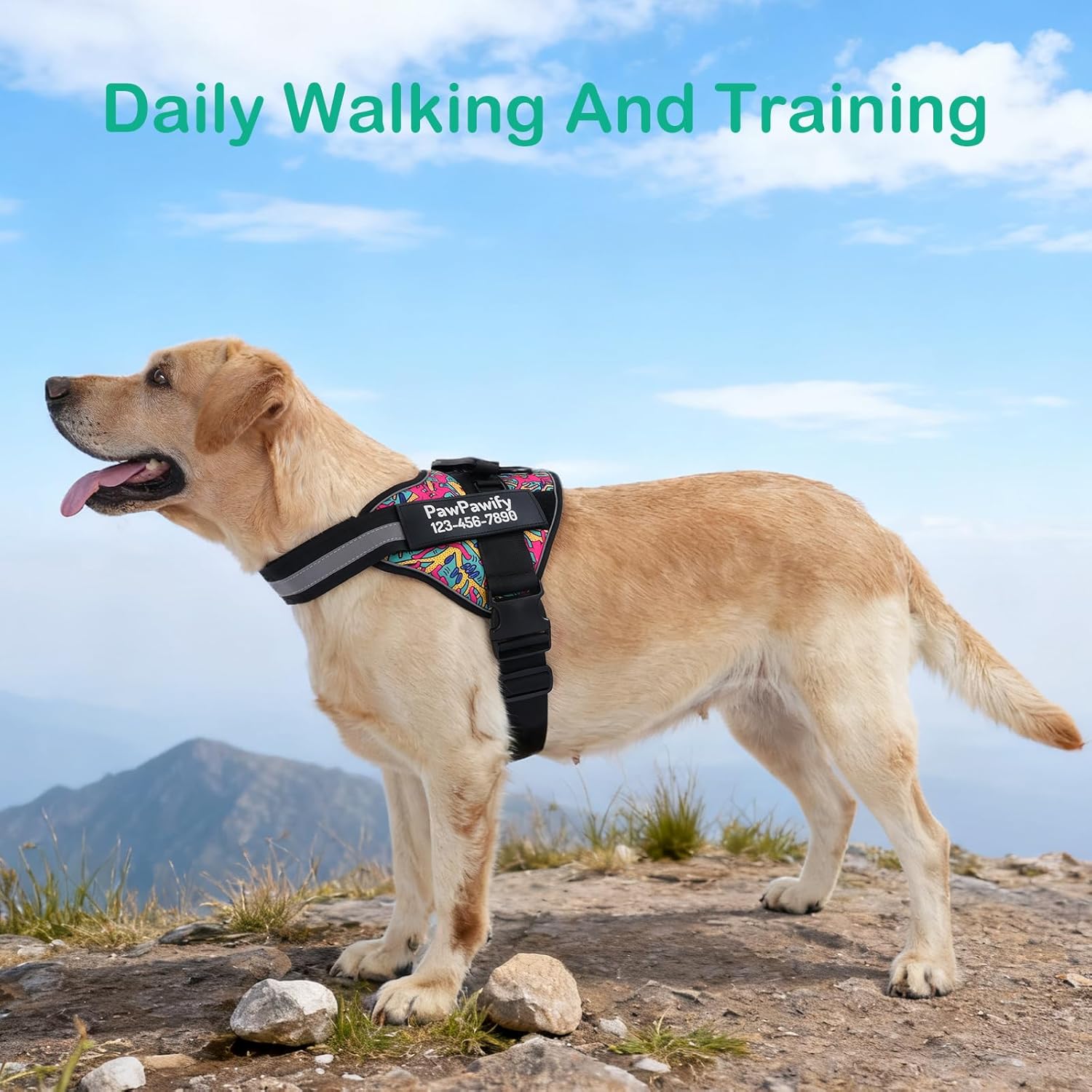 Personalized Essential Dog Harness,Custom No-Pull Pet Vest with Name & Phone Number, No Choke, Reflective, Adjustable and Padded, Easy Walking and Training for Dogs (Color Doodle,L Chest 23-30 in)