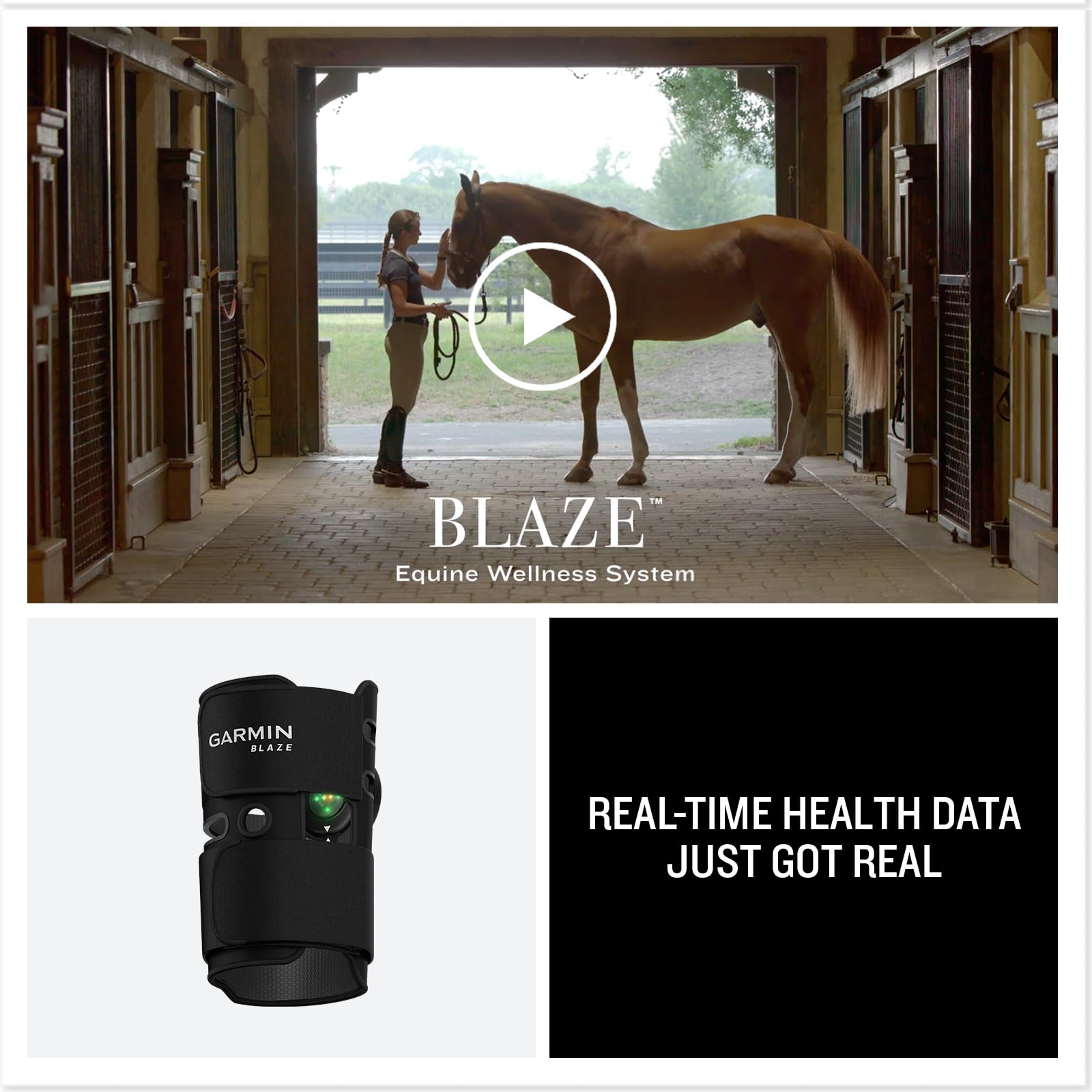 Garmin Blaze Equine Wellness System, avvolgimento e sensore per coda facili da usare, approfondimenti su salute e benessere