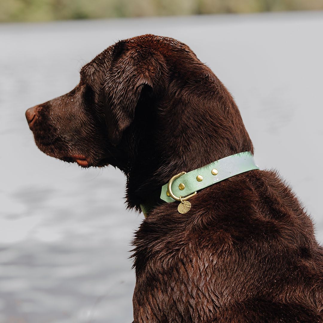 Collier pour chien imperméable fini les odeurs taille L noir menthe