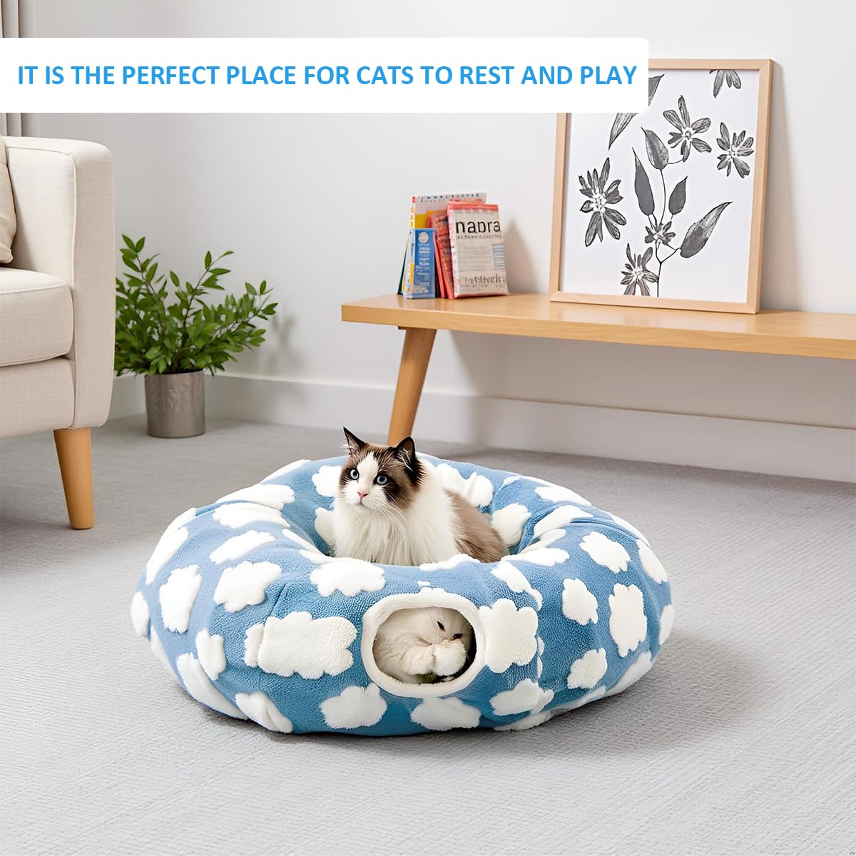 ERNAN Cat Tunnel Bed for Indoor Cats - Image 2