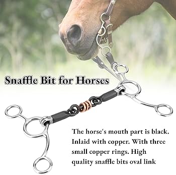 Amazon.com : Acouto Horse Bit, Horse Chew Stainless Steel