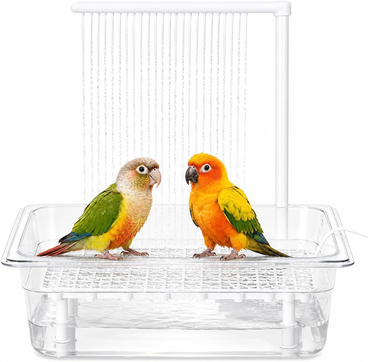 Bird Bath Tub with USB Pump, Automatic Bird Shower for Pet Birds | with Transparent Acrylic Basin, Transparent Acrylic Basin & Mesh Perch for Parakeets, Cockatiels, Budgies
