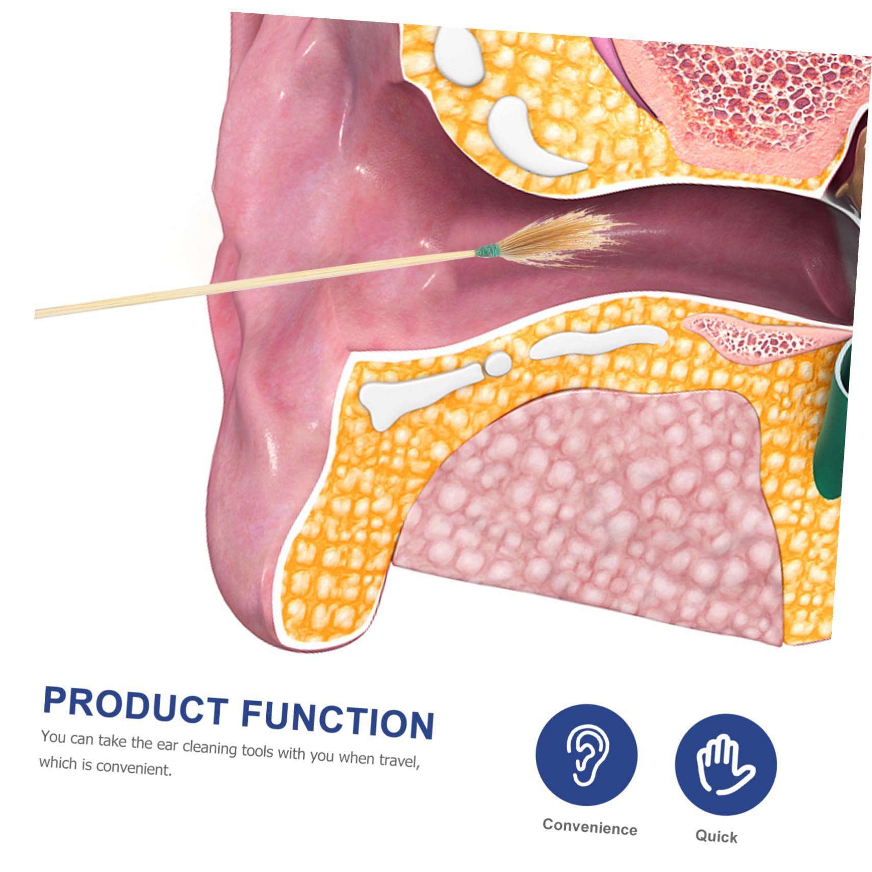 HAPINARY 5 Sets Ear Spoon 3-Piece Set for Ear Ear Spoon 5 Sets 15pcs Ear Wax Tool Ear Cleaner Ear Cleaning Tools for Adults Ear Wax Cleaning Wand Ear Tools