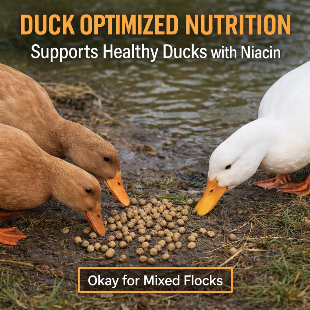 Duck Feeder Floating Duck Food Pellets for Ponds & Parks | Safe Feed for Ducks, Geese & Swans | Floats for Hours | with Niacin | Ditch the Bread, Feed the Revolution (5 lb)