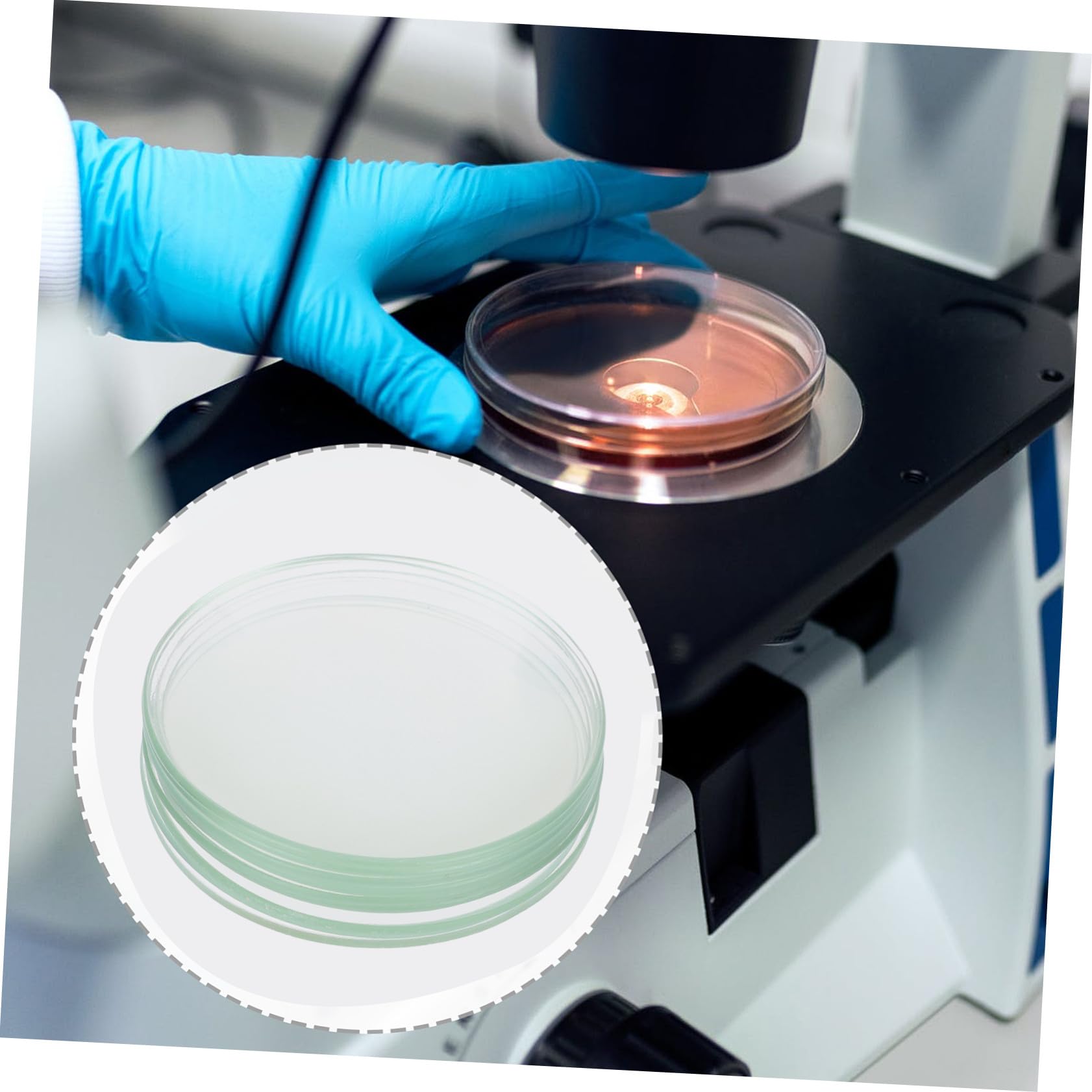 MAGICLULU de Vidrios de Reloj Planos Transparentes para Laboratorio 10 Piezas Material Sintético Resistente y Seguro Ideales para Clase de Química y Uso Escolar