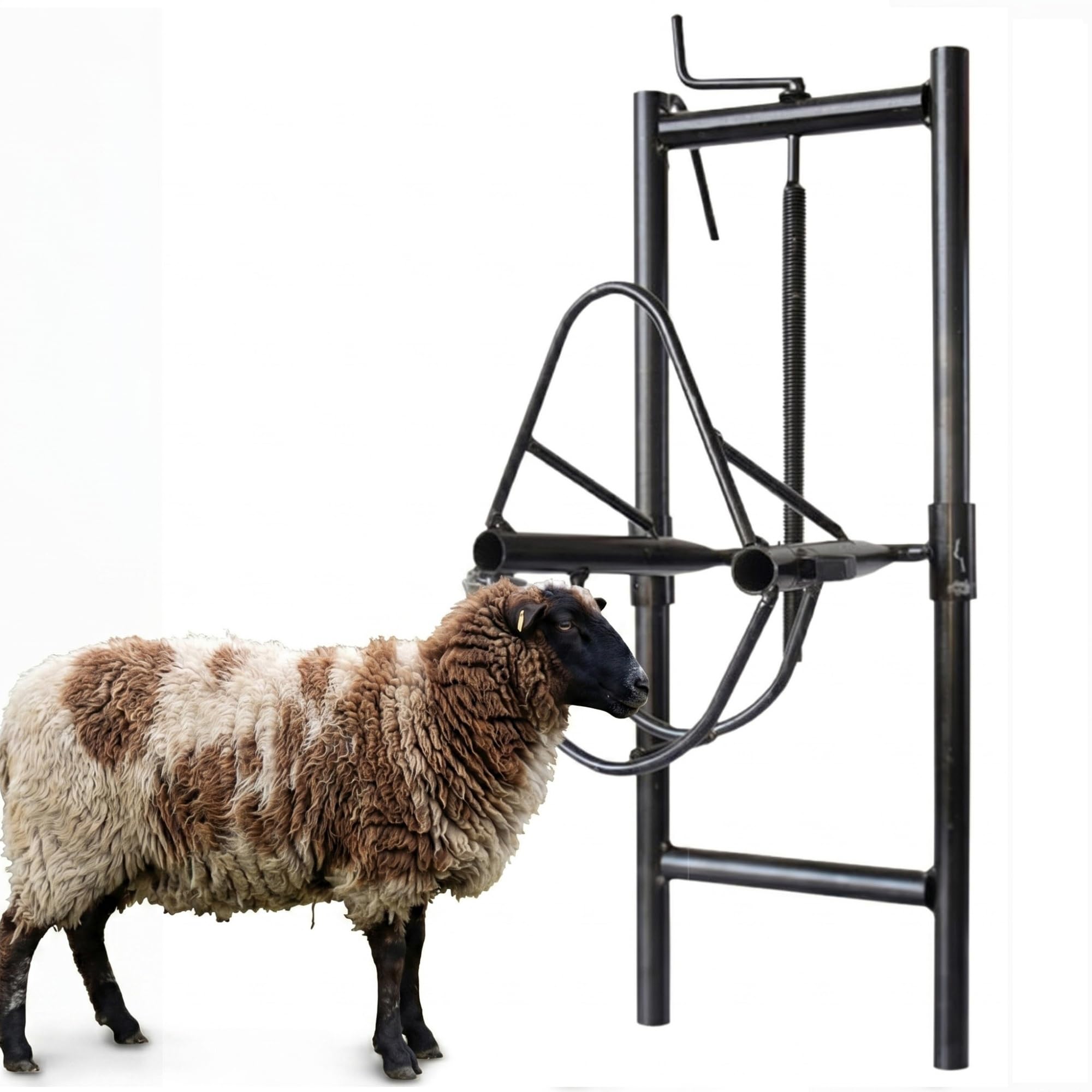 Supporto regolabile per testa di pecora, supporto per testa di pecora sollevabile, staffa di cattura per tosatura, accessori per allevamento di bestiame con altezza regolabile