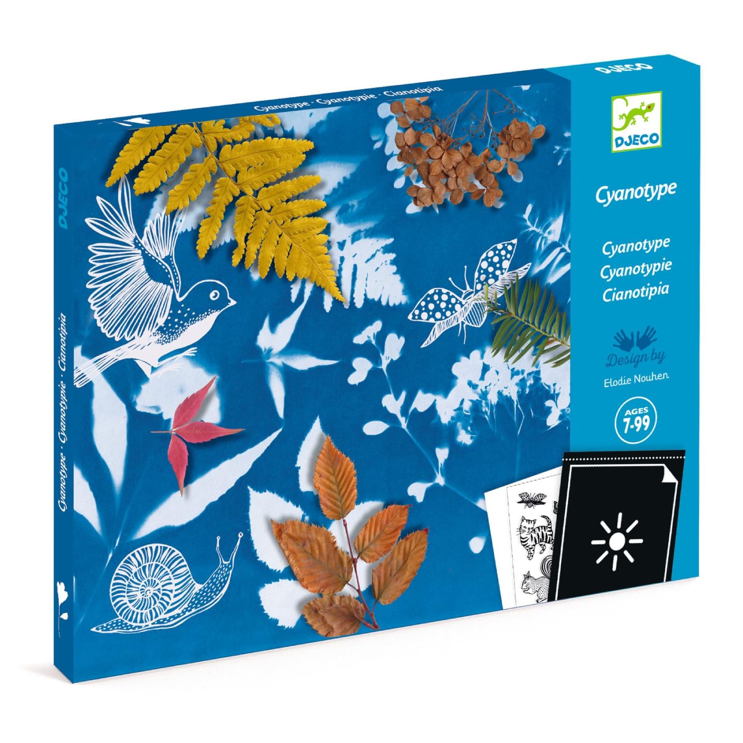 Djeco Blue Dj09339 Cyanotype Starter Kit