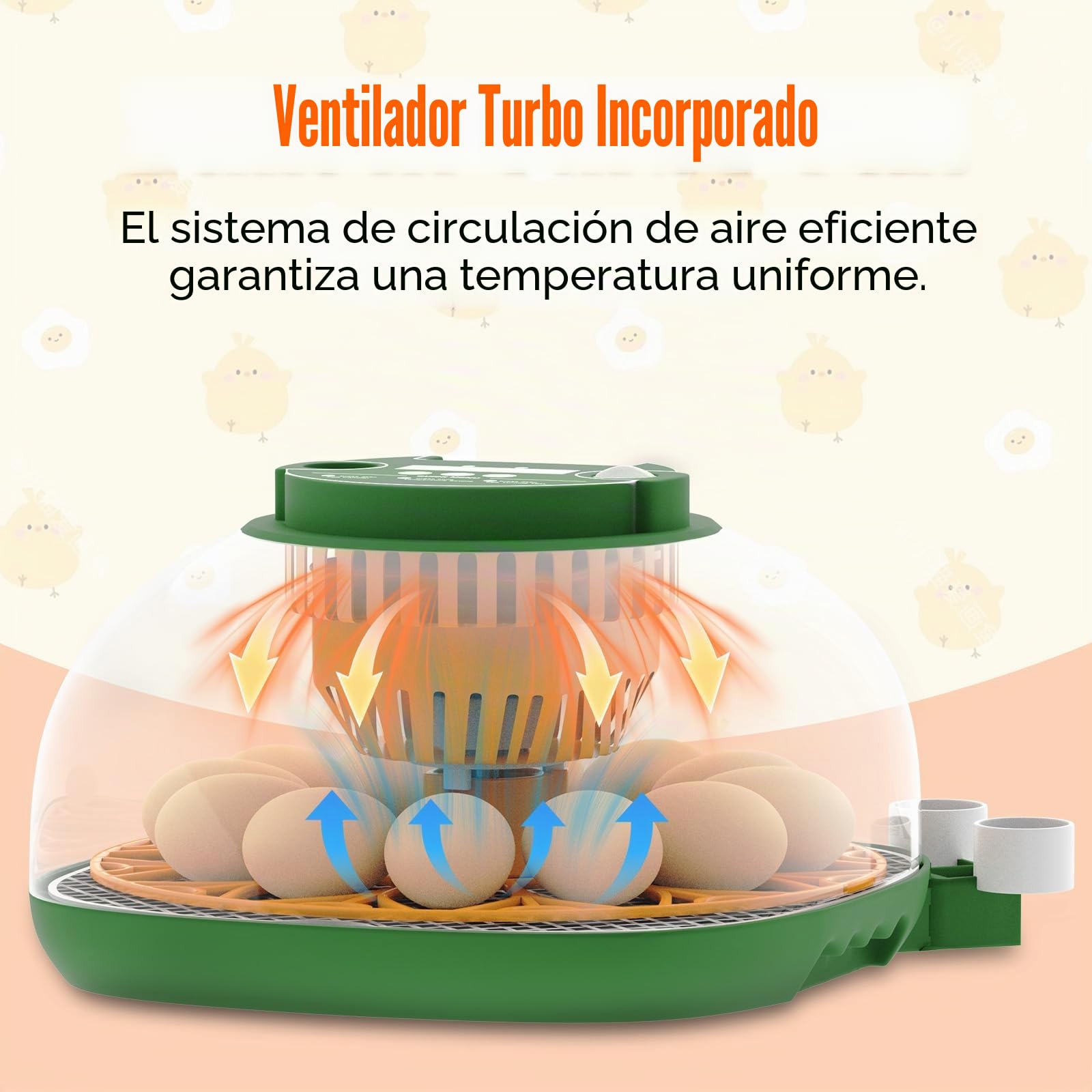 Incubadora Huevos Gallina, 12 Huevos, con Función Llenado Automático Agua, Volteo Automático Huevos, Control Temperatura y Humedad, Función Ovoscopía, para Gallinas, Codornices, Patos (A)