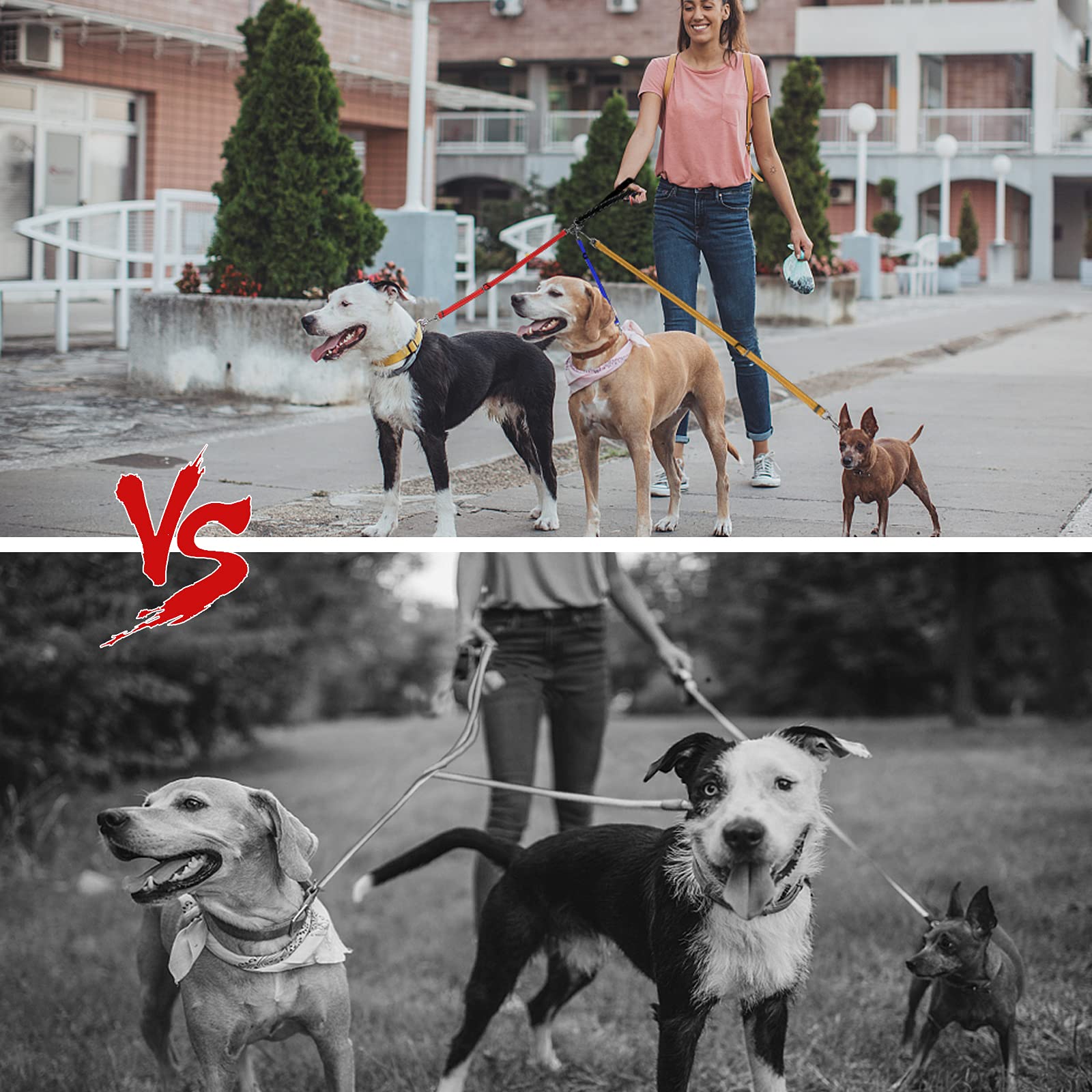 Correa de 3 Vías para Perro, Desmontable y Reflectante, Acolchada, Ajustable, Triple Acoplador, Cuerda de Tracción para Caminar Uno, Dos o Tres Perros