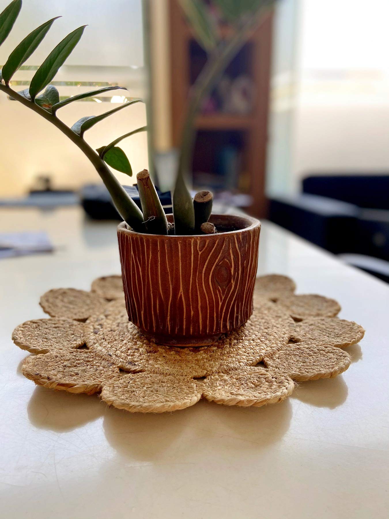 pepme Jute Round Placemat, Beige, Small Outer Circles for Dining Table, Bed Side Table, Tea Time, Restaurant (14 Inches, Pack of 6) (B08SMMC1HS) Amazon Price History, Amazon Price Tracker