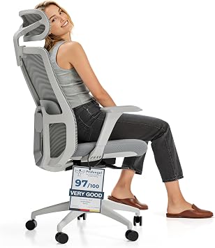 Desktronic Adjustable Ergonomic Office Chair | Desk Chair with headrest, armrests, lumbar support, height adjustments - Designed for European body - Breathable Mesh - Spacious seating SitOne Gray