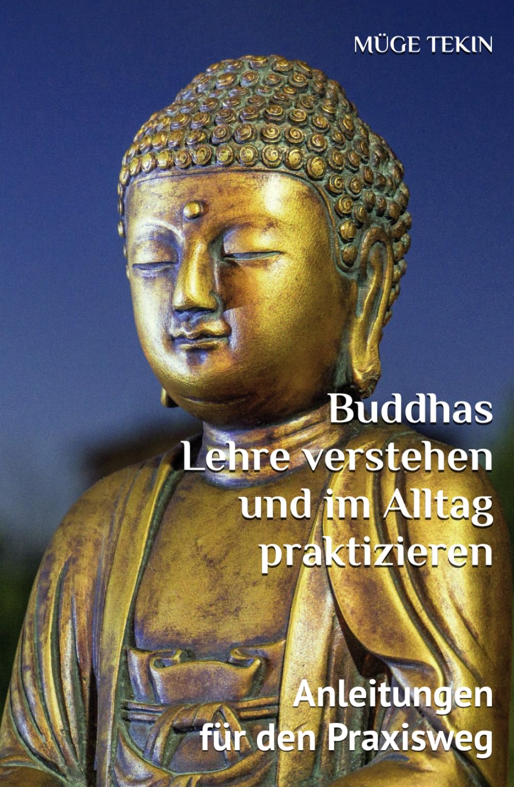 Buddhas Lehre verstehen und im Alltag praktizieren: Anleitungen für den Praxisweg