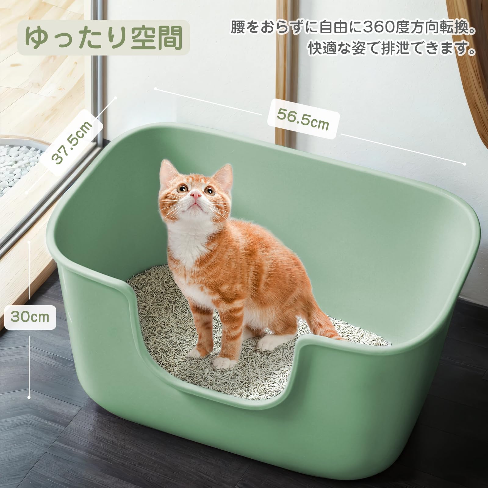 巨大猫トイレ Amazon | 猫 トイレ 大型 猫用トイレ 本体 大型猫トイレ オープン