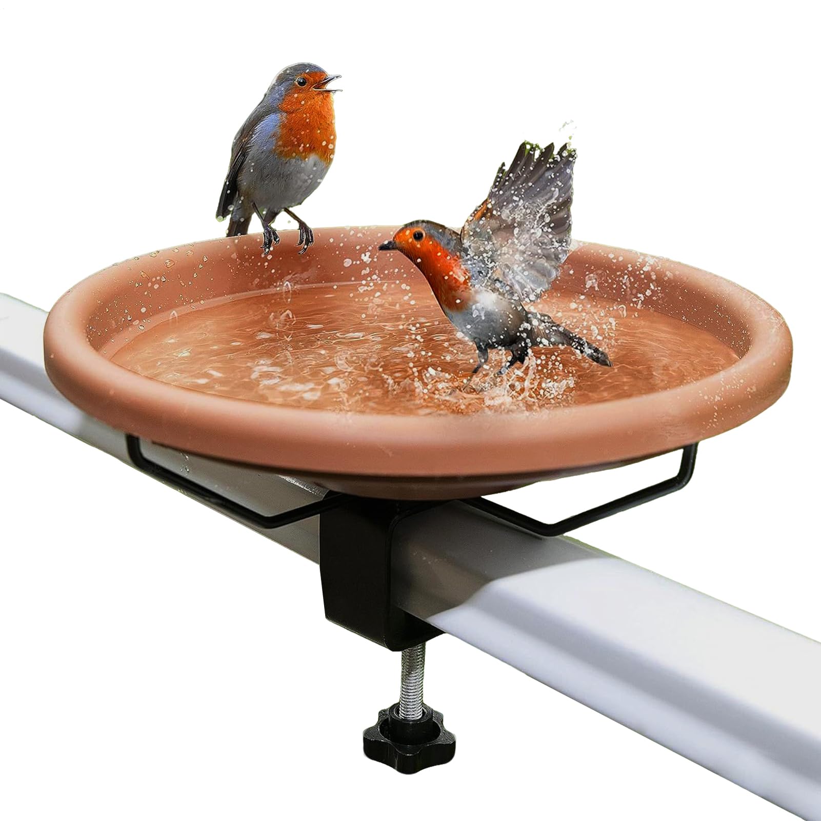Bain d'oiseaux d'extérieur monté amovible pour accueillir les perroquets