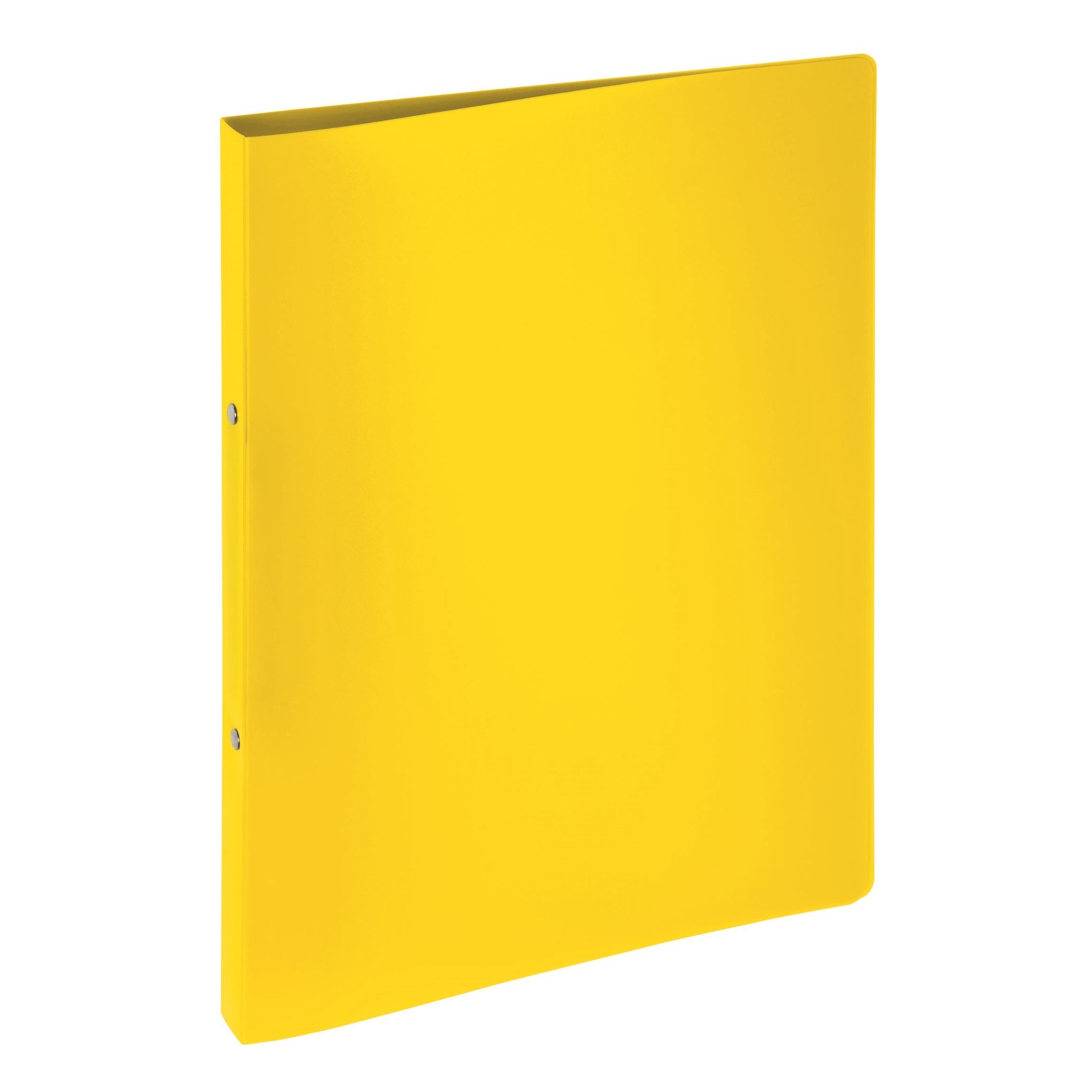 Pagna Ringbuch A4 Lucy Basic PP, 2-Ring-Mechanik, 16 mm, gelb