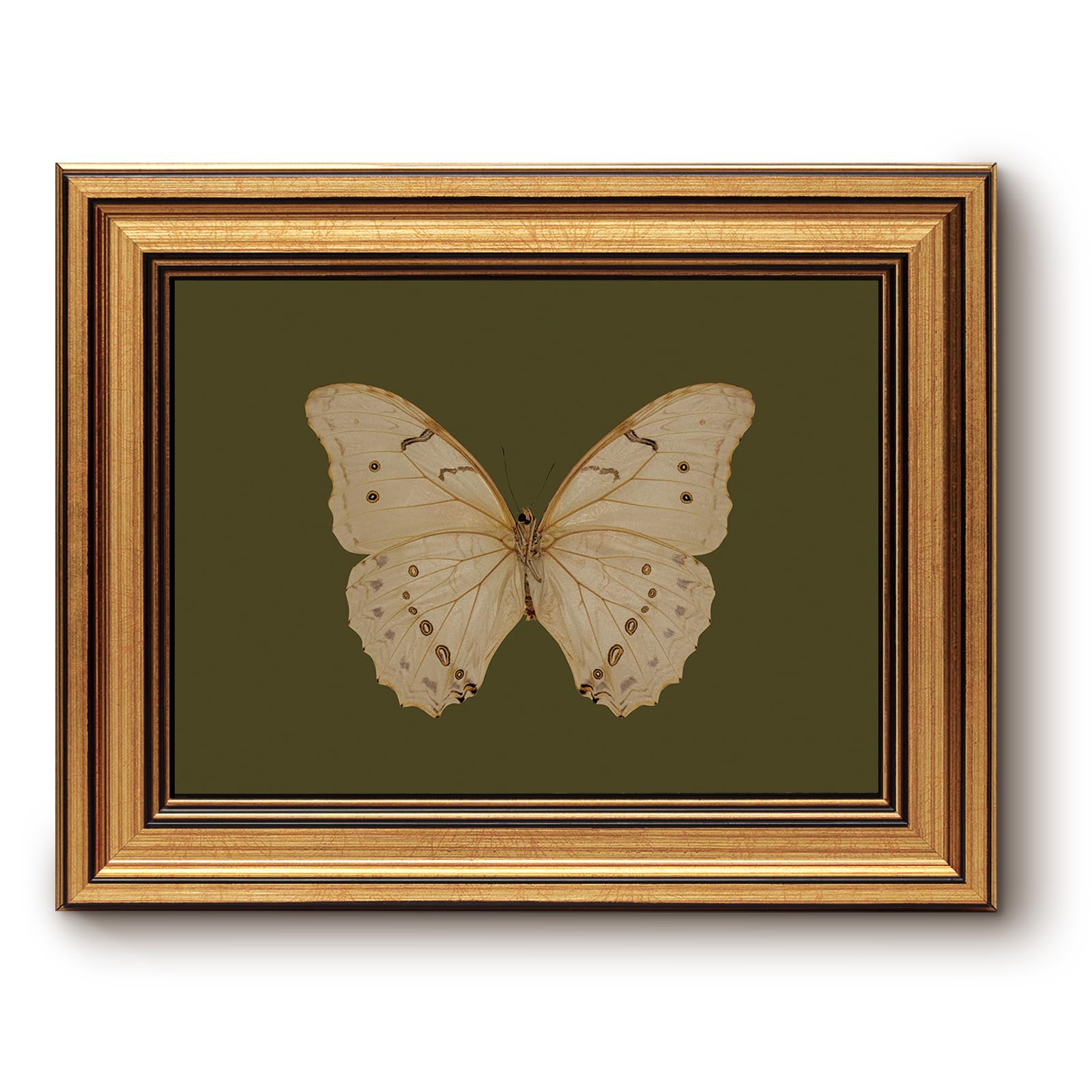 InSimSea Gold Framed Wall Art Butterfly Print