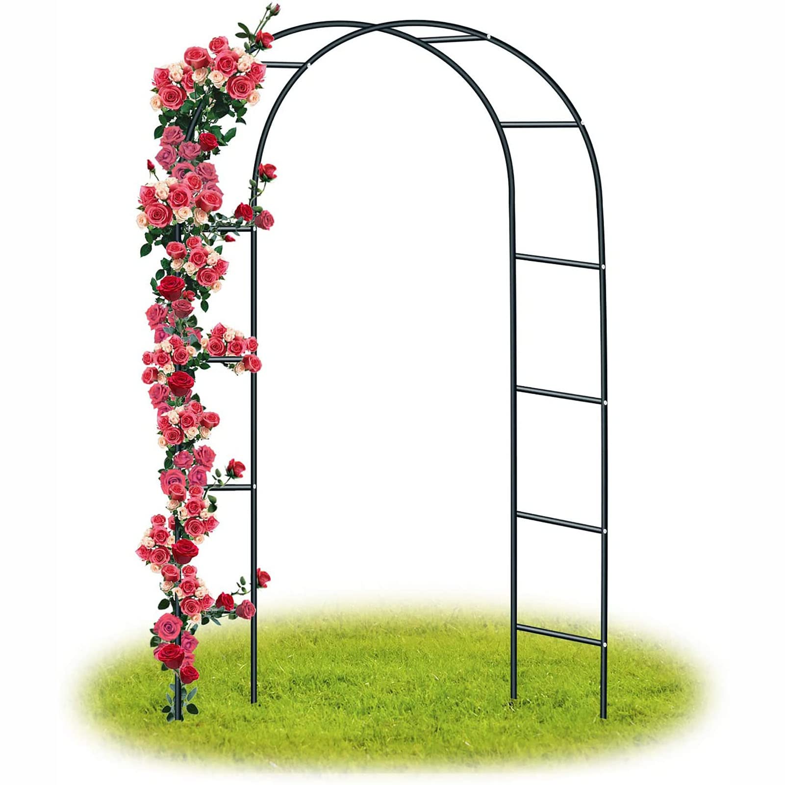 Arche de jardin en métal pour créer une allée romantique de roses noires