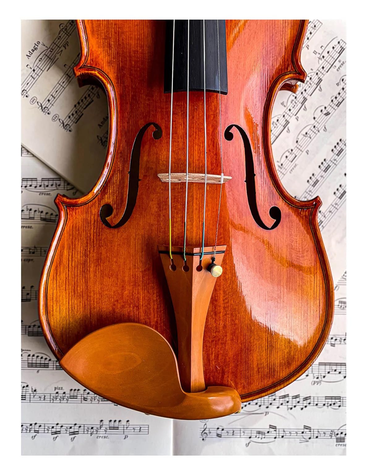 Conrad Gotz ZK1594G Mentonnière Stradivari pour violon, buis