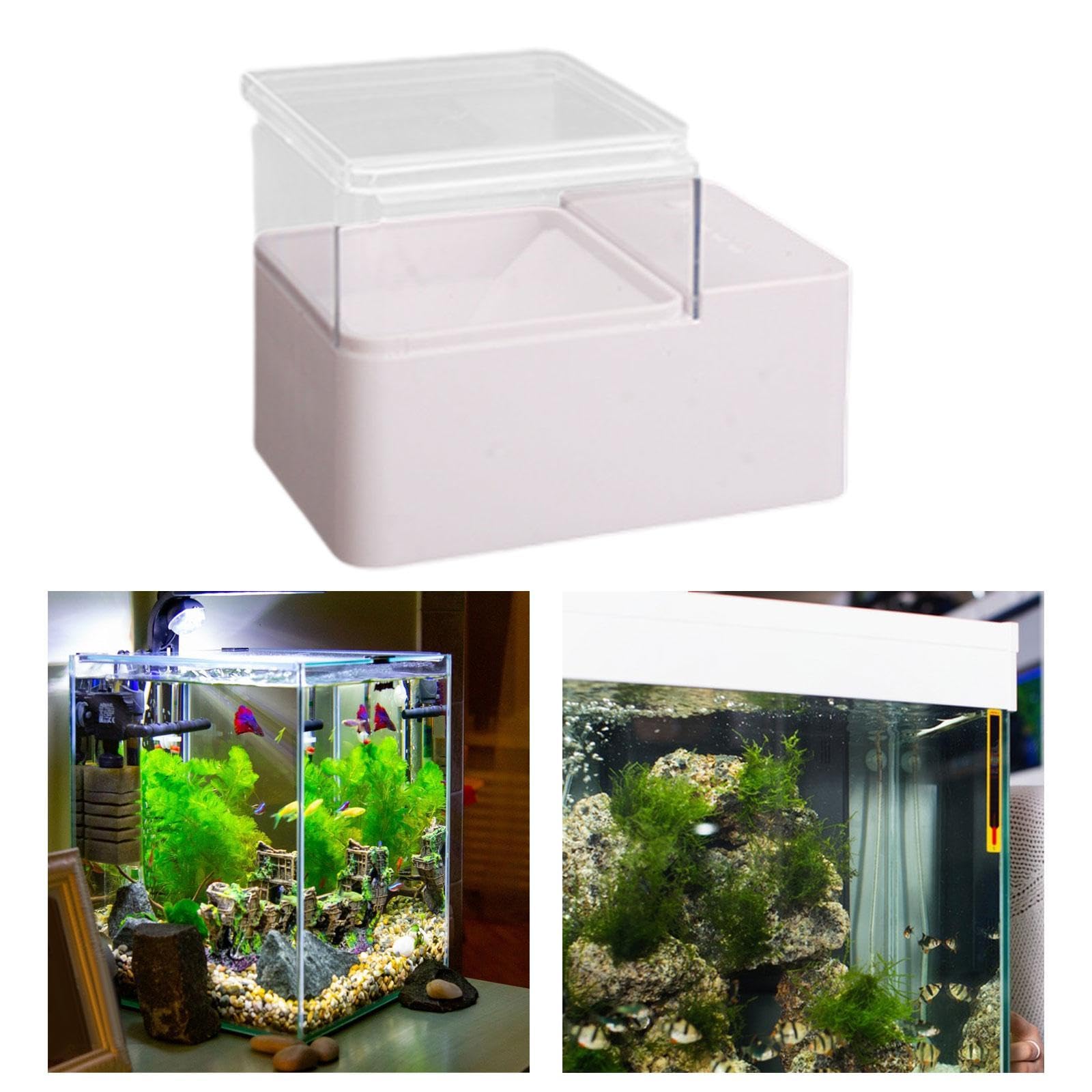 Juego de 5 comederos automáticos para peces, alimentador de tortuga, alimentador inteligente, funciona con pilas, 150 g