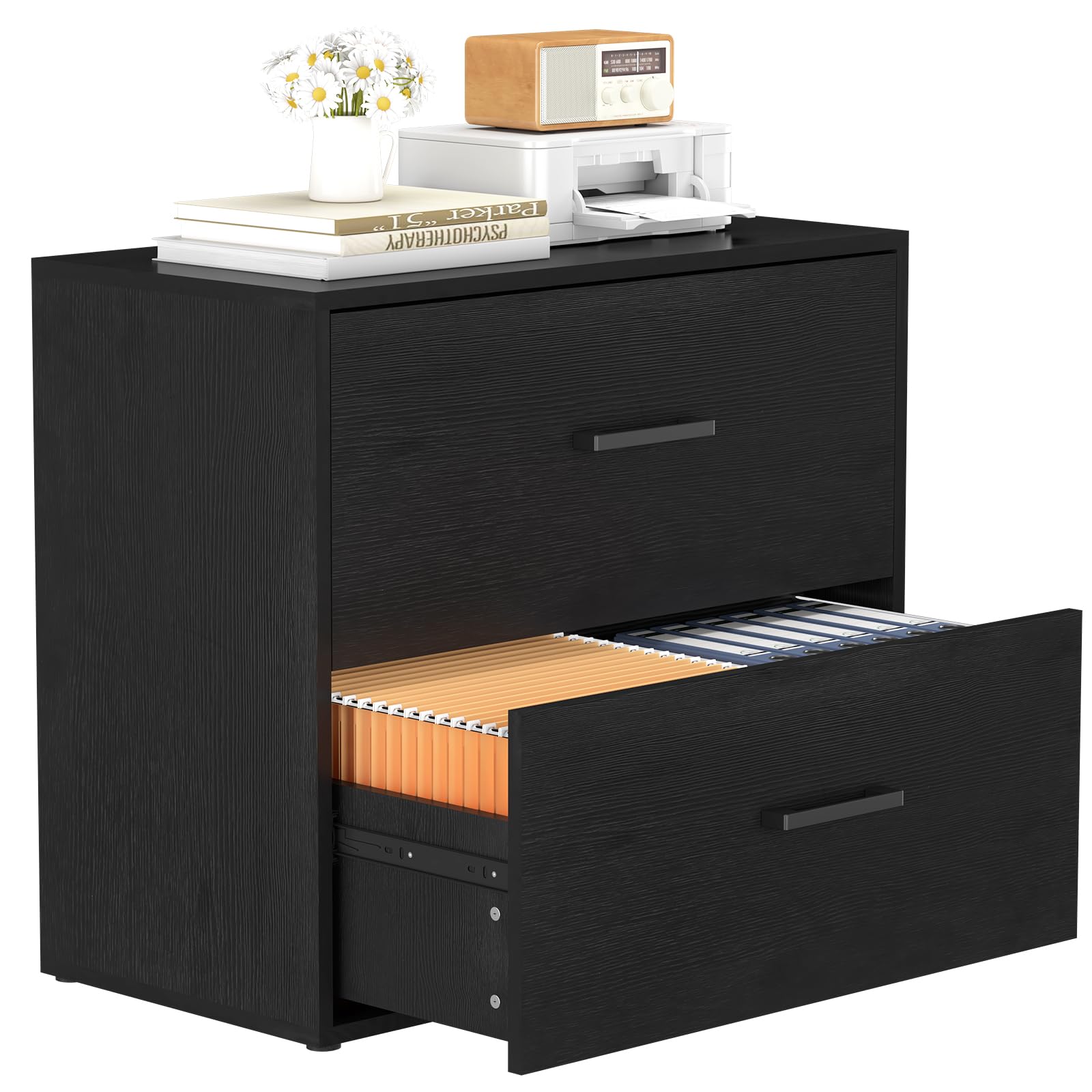 File Cabinet, 2 Drawer Lateral Filing Cabinet with Hanging Bars for Letters, Black File Cabinets for Home Office, Large Printer Stand, Wood Office Storage Cabinet