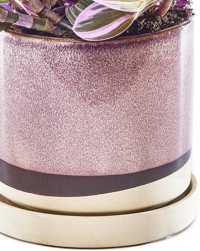 Miniatura 6 de CHIVE Macetas de cerámica para suculentas 'Minute', macetas de 5 pulgadas para cactus y flores de interior con drenaje y platillo desmontable, verde