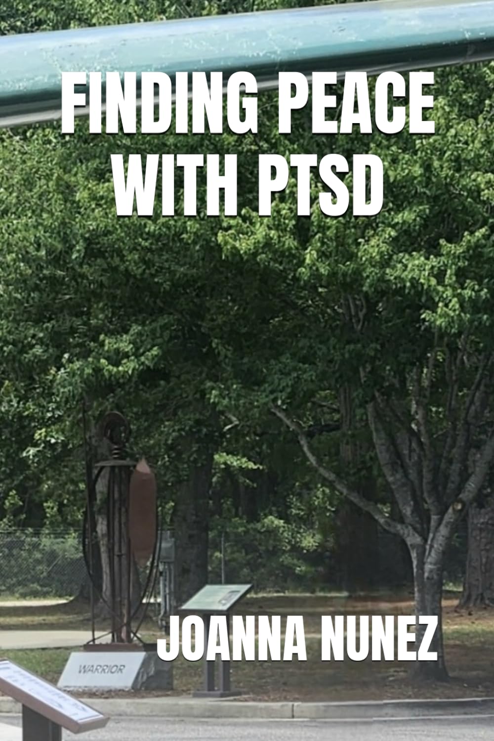 Finding Peace with PTSD
