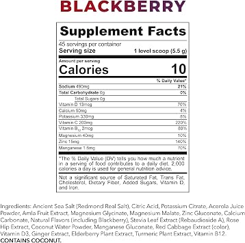 REDMOND Re-Lyte Immunity, Multivitamin Supplement Mix (BlackBerry)