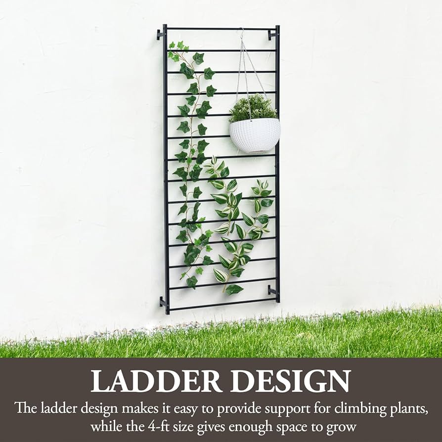 GIRUVI 「Grow on the Wall」Gracilius GIRUVI 「Grow on the Wall」Gracilius Green plants and grass