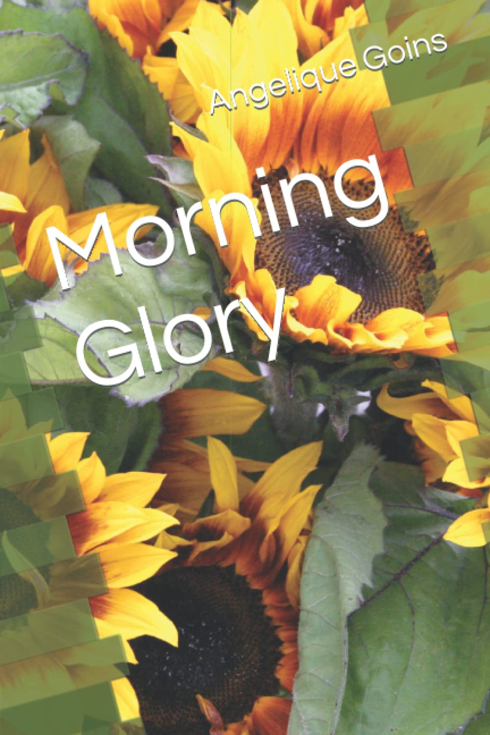 Morning Glory