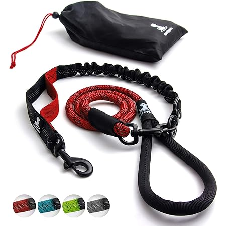 Bully max resistance leash Clearance