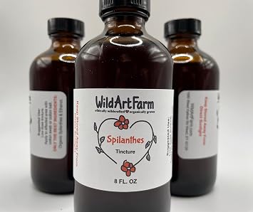 Spilanthes Oleracea Tincture, Liquid Toothache Plant Extract 8 oz Tincture