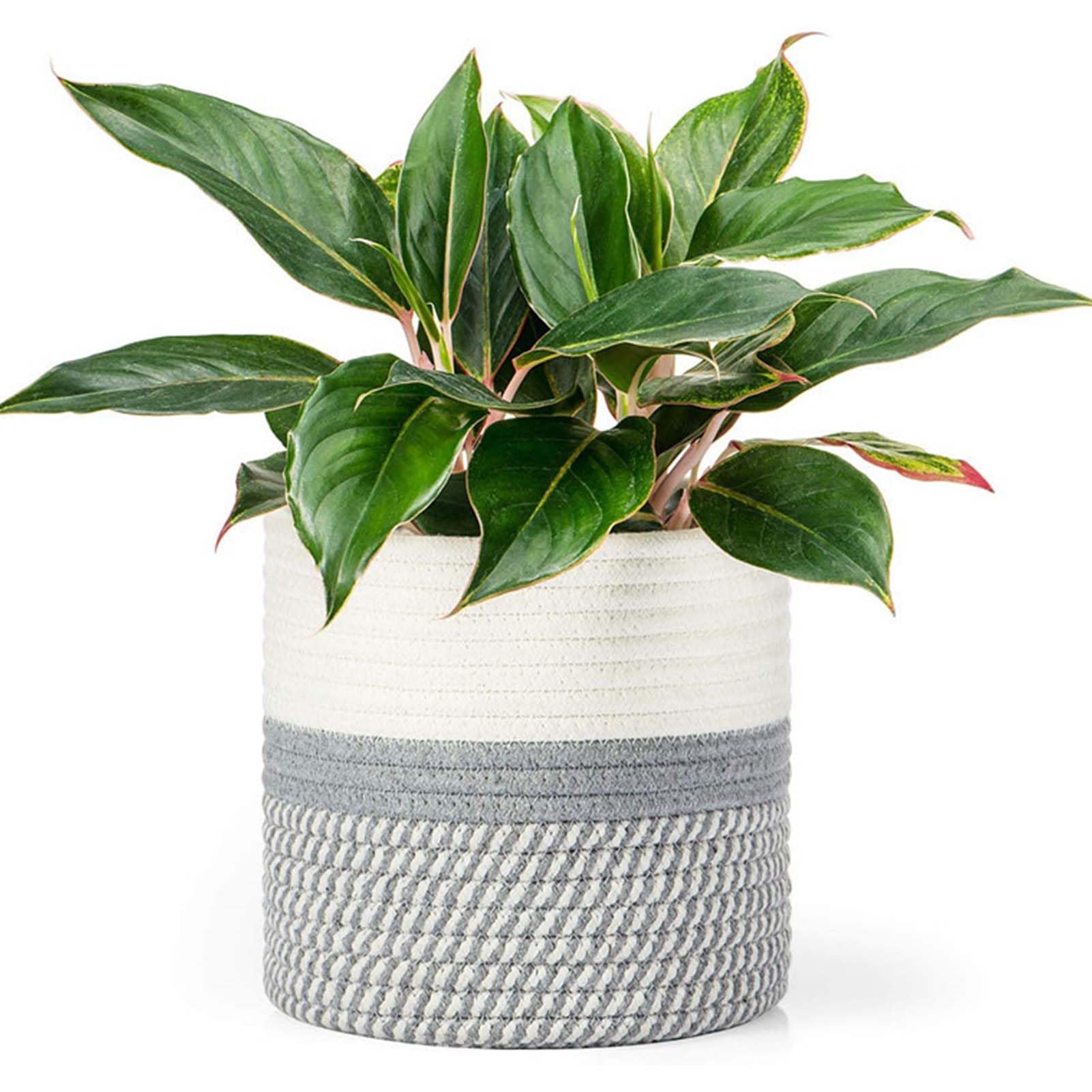 KMERCE Blumentopf Korb geflochten,Pflanzenkorb Indoor,übertöpfe für zimmerpflanzen,blumenkorb geflochten mit Griffen, übertopf Korb Boho, pflanzentopf 20 cm Durchmesser