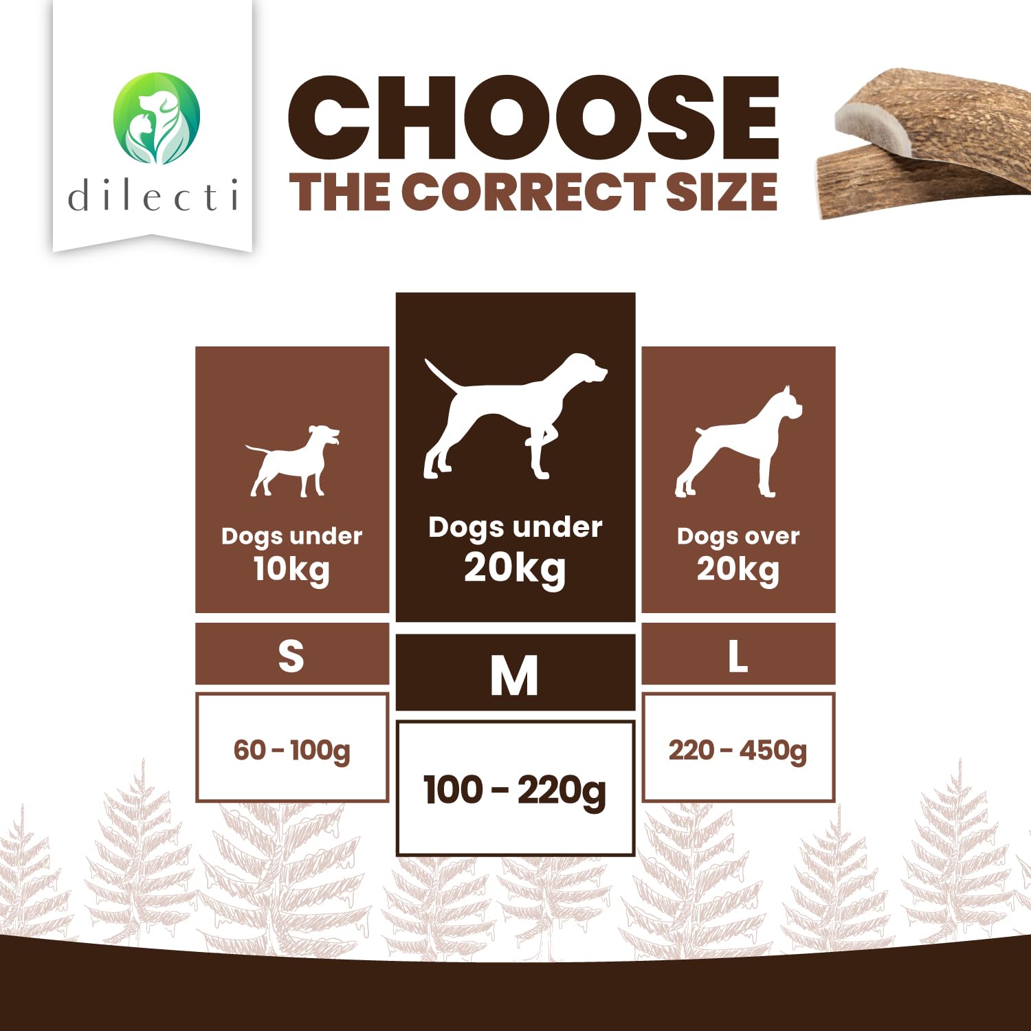 Dilecti Olive Wood Dog Chews, Natural Dense Hardwood Stick, Long-Lasting Dental Care Chew Toys with Antioxidants - Image 4