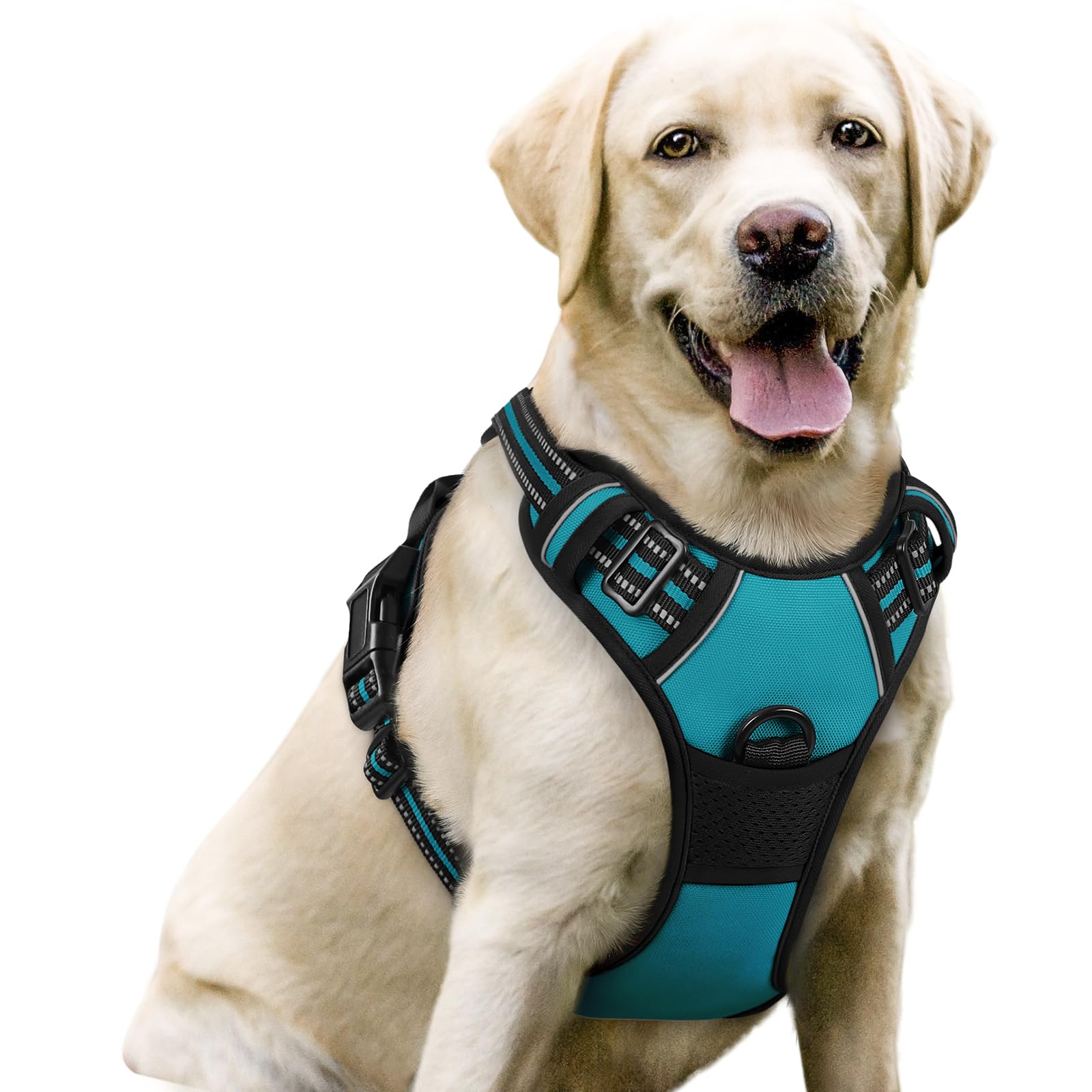 rabbitgoo Dog Harness No Pull with 2 Leash Clips, Adjustable Soft Padded, Reflective Oxford No Choke Pet Vest with Easy Control Handle for Large Dogs, Teal, L