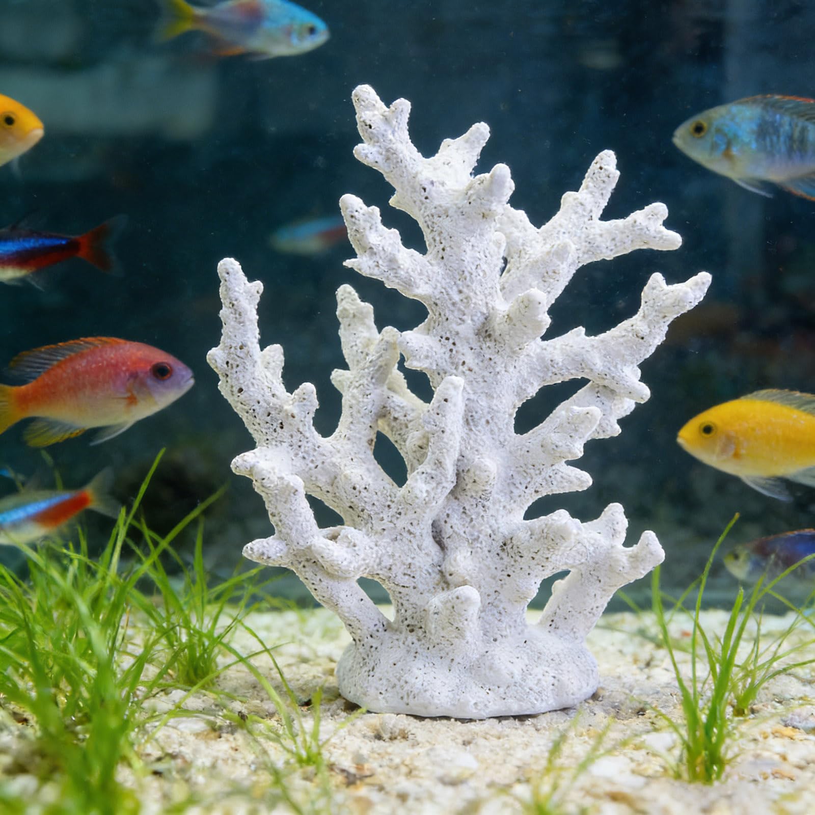 Amazon.co.jp: Tirifer ホワイトサンゴ装飾 ホワイトサンゴ礁 人工