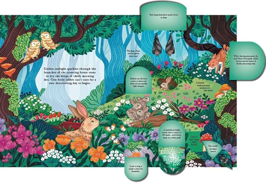 Hide and Find in the Forest: A Lift-the-Flap Woodland