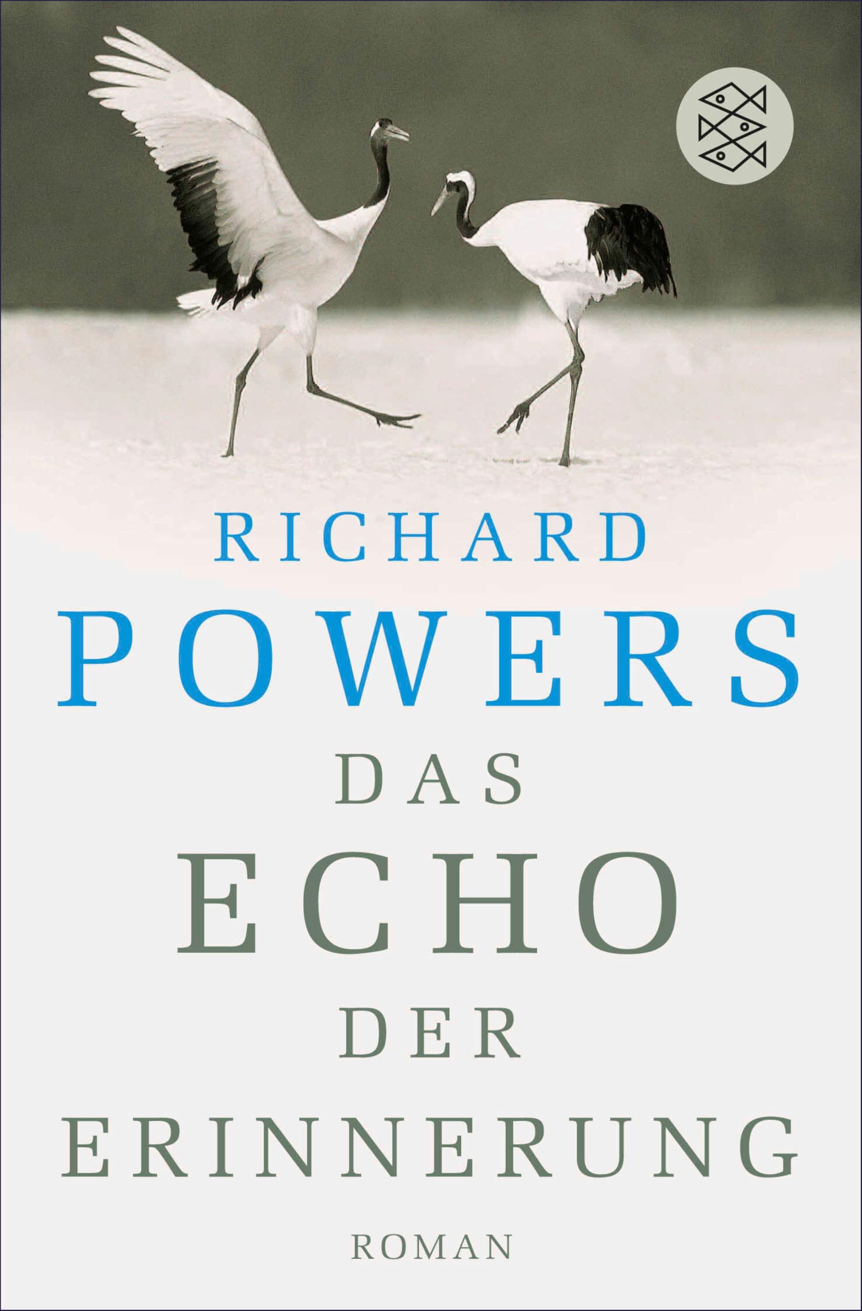Das Echo der Erinnerung: Roman (Fischer Taschenbibliothek) (German Edition)