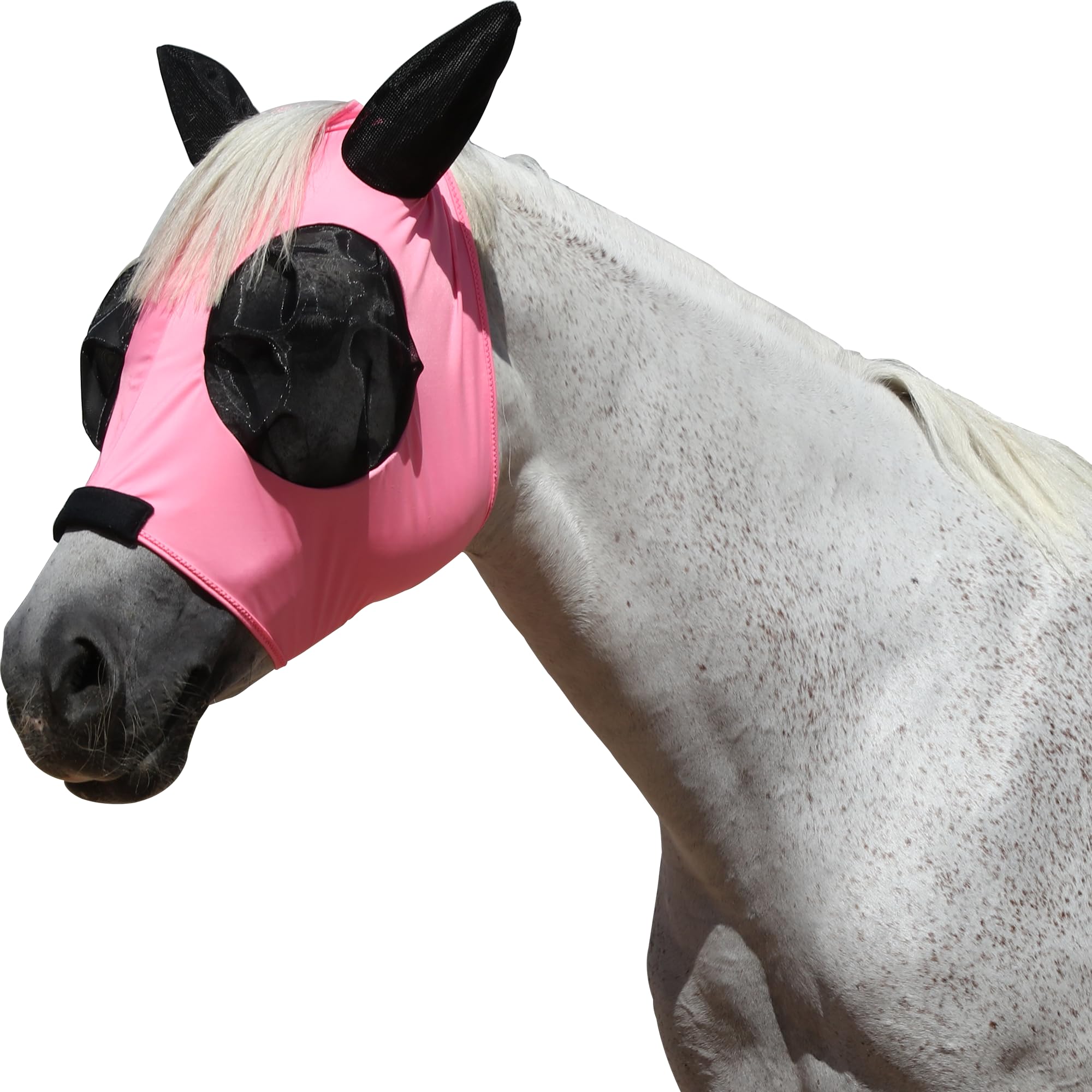 Masque anti-mouches chevaux pour le pré et les journées d'été