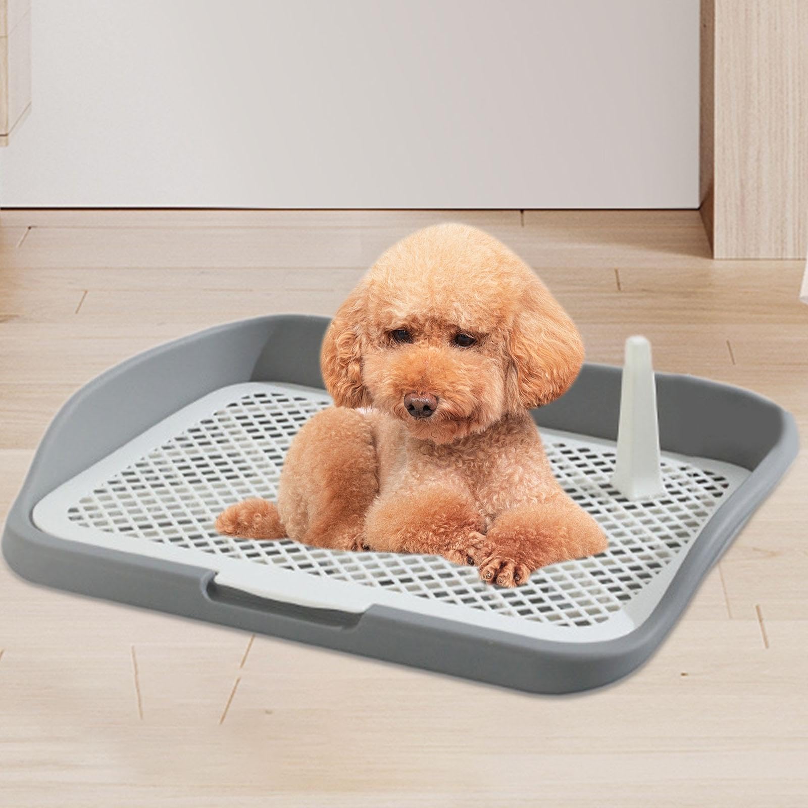 Toilette per Cani Cani Tappetino per vasino Tappetini per lettiera per Cani con Apertura dall'alto per Interni Vassoio per lettiera Griglie in Rete, Grigio Medio Recinzione