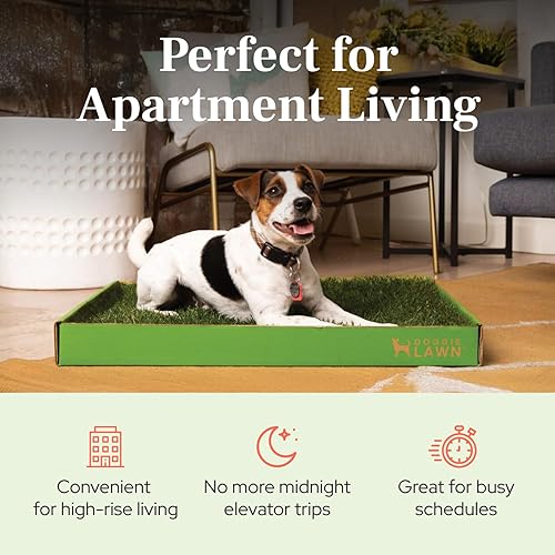 Miniatura 3 de DoggieLawn Almohadillas para orinar de cachorros de hierba real, caja de arena interior para cachorros, sin ensuciar, fácil entrenamiento para ir al