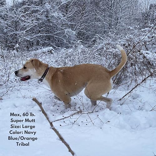 Miniatura 4 de Collar impermeable para perro Overlook