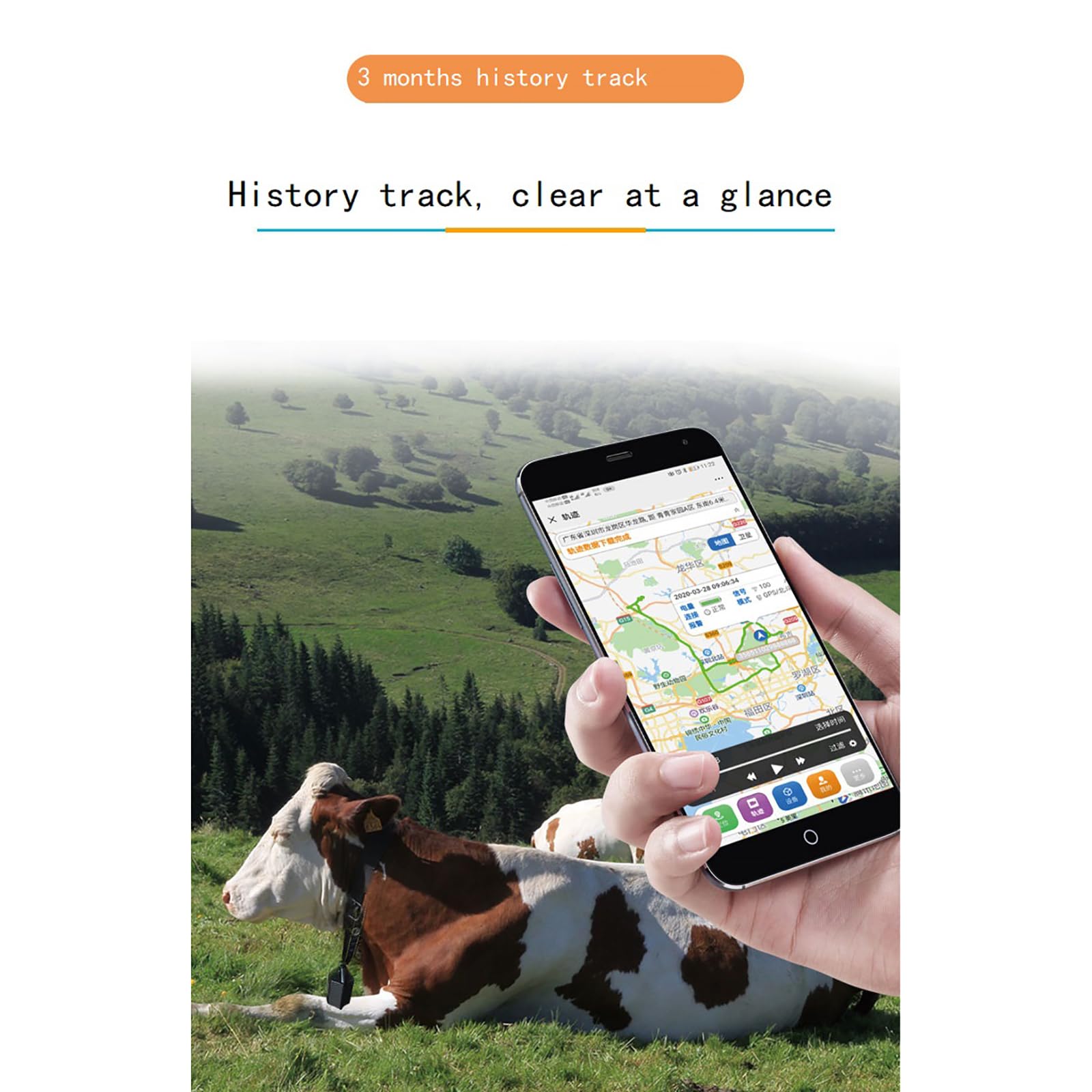 Localizador GPS de Animales, Rastreador Solar de Mascotas, Posicionamiento en Tiempo Real, Seguimiento Histórico de 90 días, para Ganado, Ovino, Caballo y Camello