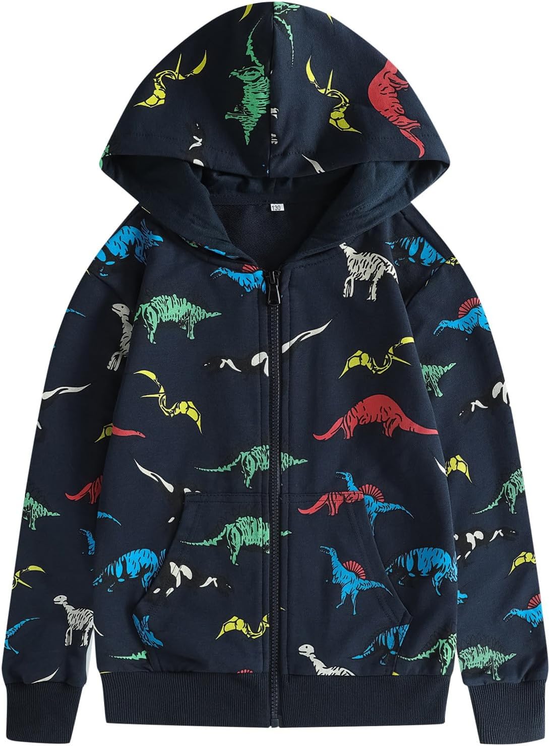 H&m Hoodies Boys Zipper Hoodie Dinosaur Kids Dinosaur Jacket