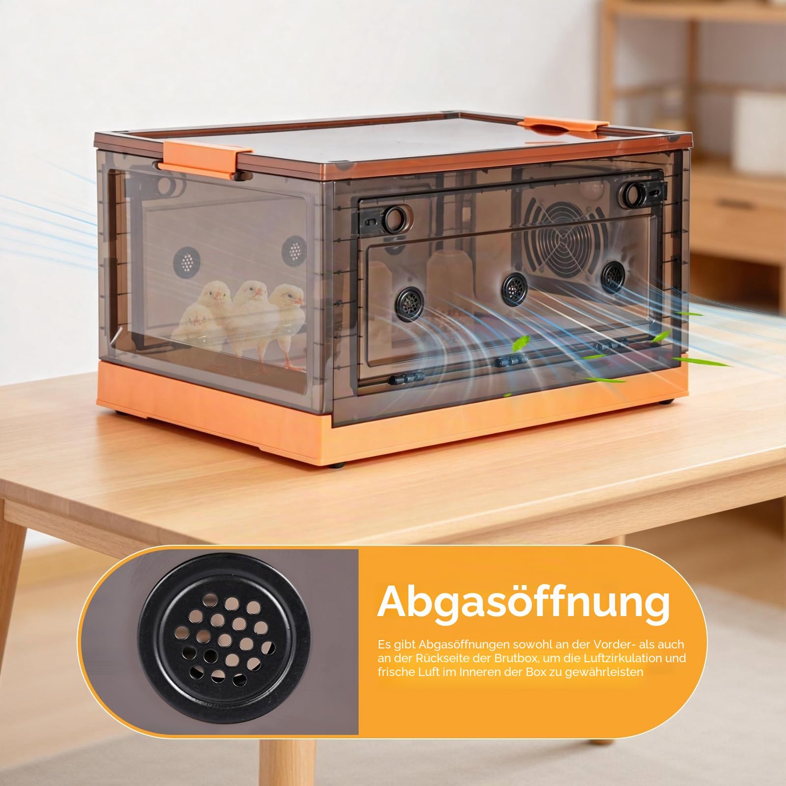 Kit de Kükenaufzuchtbox mit Hühnerstall Heizung, Wärmeplatte Küken Aufzucht Box, Einstellbare Temperatur, Hühner Heizplatte Inkubatorheizung für Geflügel, Vogel, Ente, Wachtel